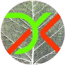tranhladuykhanh-logo